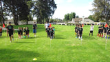 MSA Speed & Agility