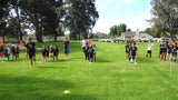 MSA Speed & Agility